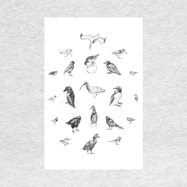 Manx Fauna – Birds by crumpetsandcrabsticks